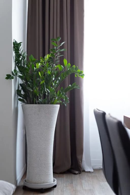 Syntagma Spotlight Residence - photo 8