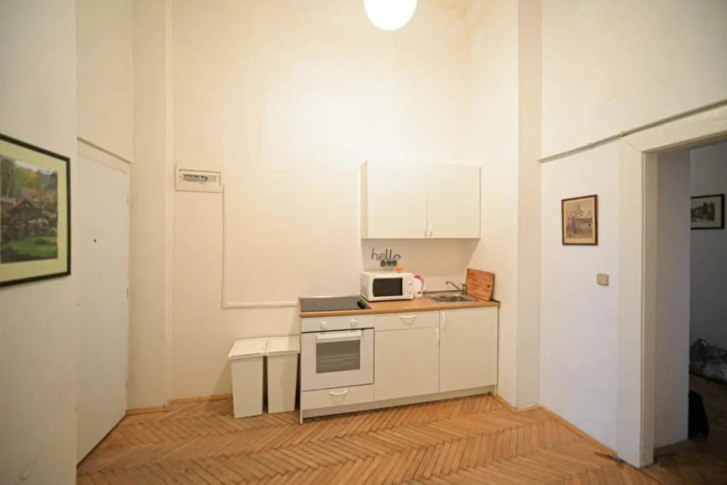 Dittrichova Apartment - photo 2