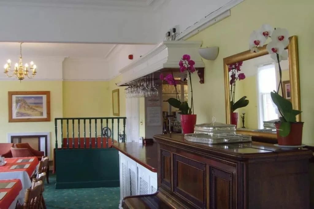Twin Lions Hotel - photo 9