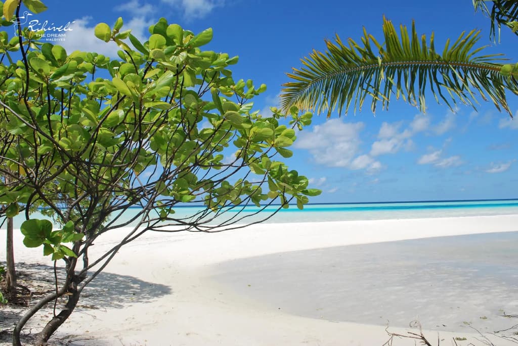 Rihiveli Maldives Resort - photo 16