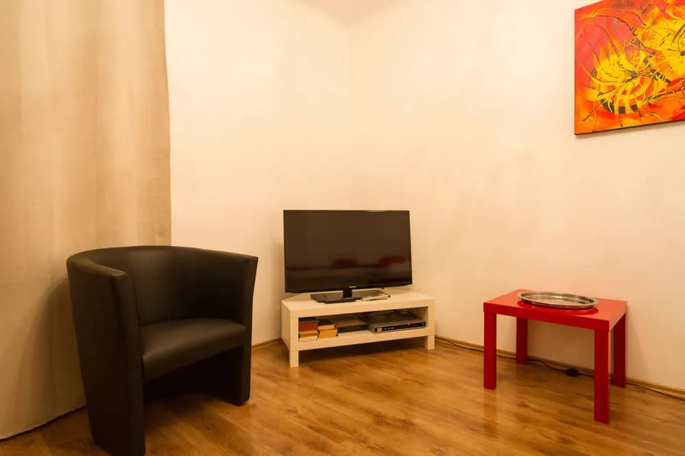 Vienna Budget Apartments - photo 4