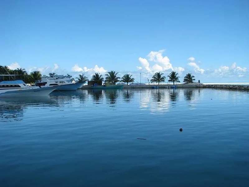 Apquo Veli Hotel Nilandhoo - photo 8