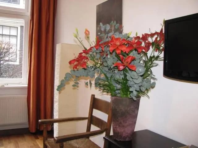Prinsenstede Lodging Amsterdam - photo 3