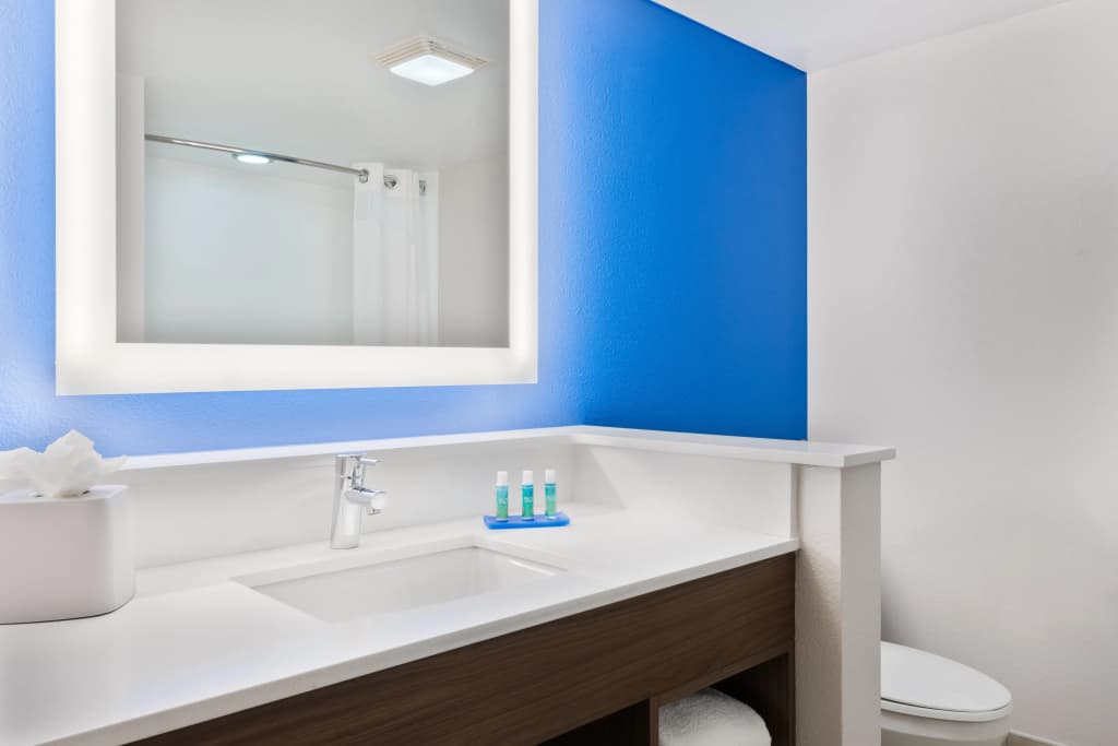 Holiday Inn Express & Suites Nearest Universal Orlando by IHG - photo 38