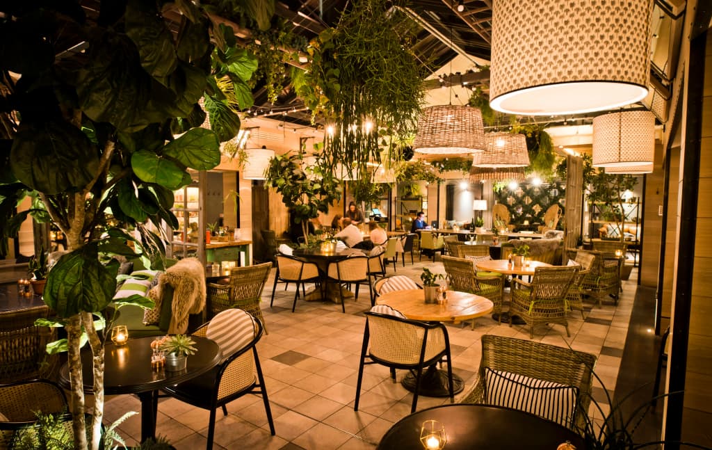 Kimpton Charlotte Square by IHG - photo 32