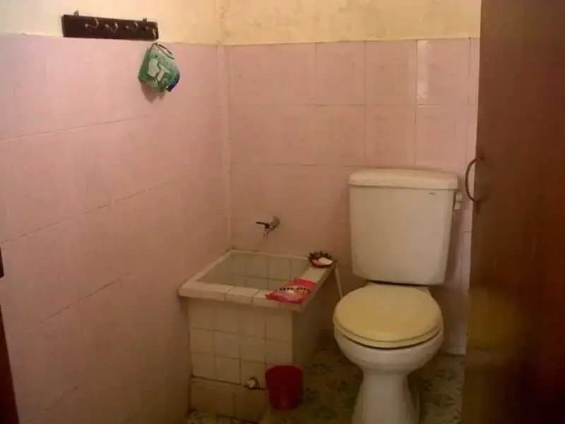 Citrus Tree Rooms - Arik - photo 9