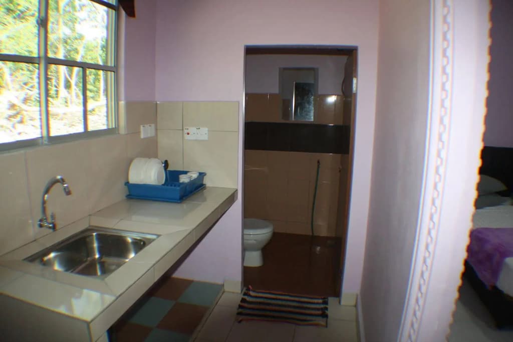 Bougainvillea Inn - photo 9