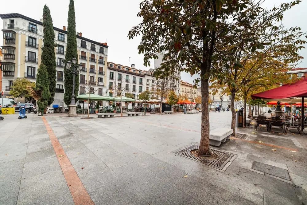 Bright & Spacious Three Bedroom Apartment in Centro - photo 10