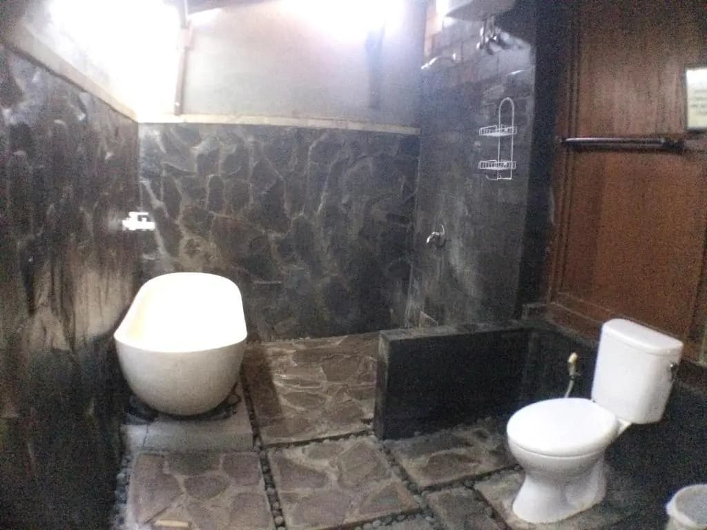 Green Paddy Hostel - photo 6