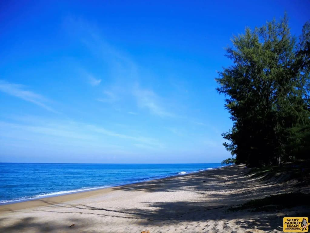Micky Monkey Beach Hotel Phuket Maikhao Thailand - photo 5