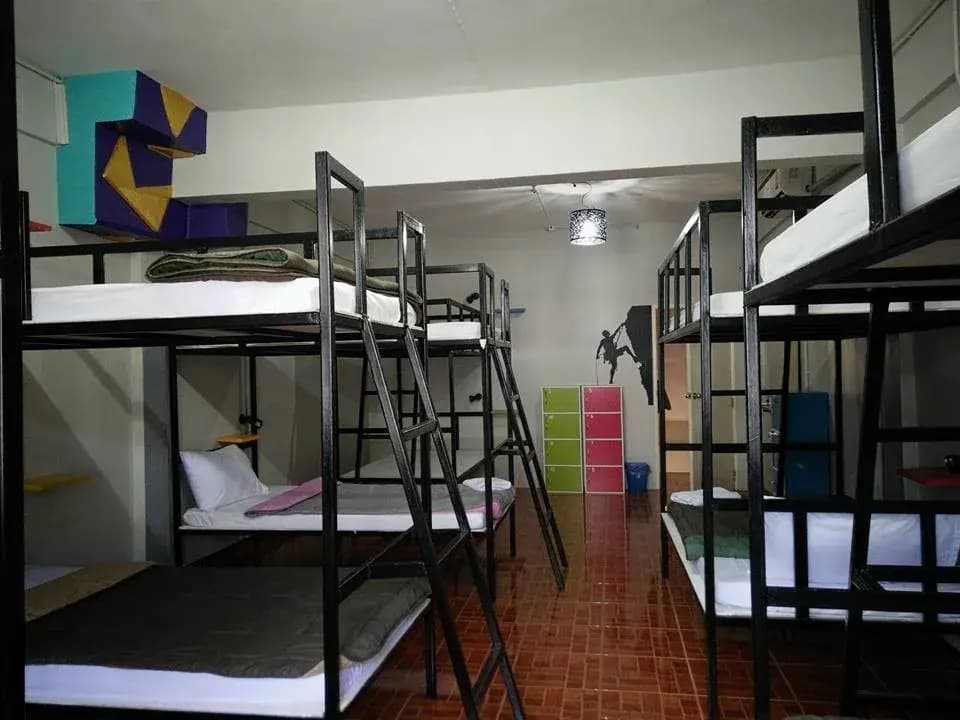 abn krabi - photo 5