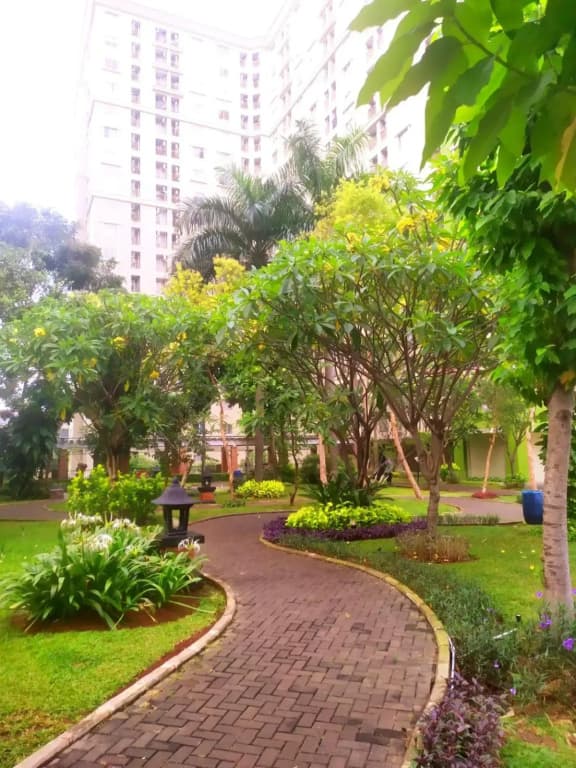 Tiny studio with pool, jogging track, gym and Mall - photo 1