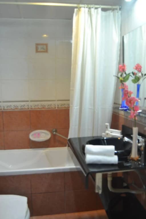 Al Maha Regency Hotel - photo 8