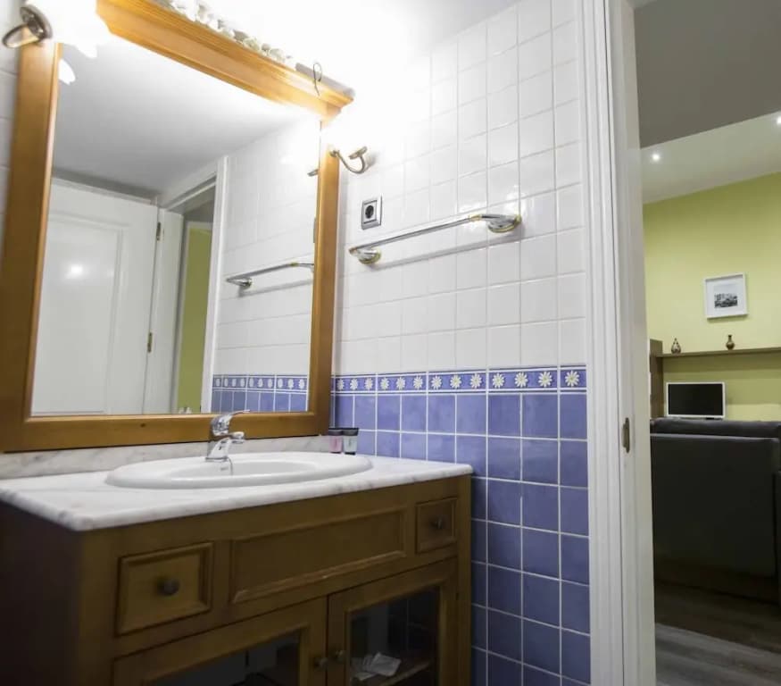 Forever Young Apartments Puerta del Sol - photo 7