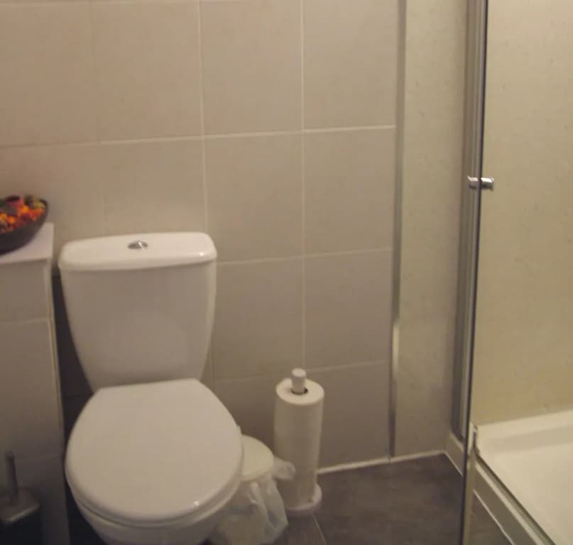 Regis Guest House - photo 7