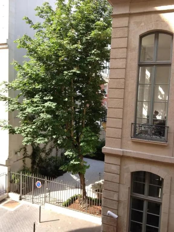 Appartement Cherche-Midi - main photo