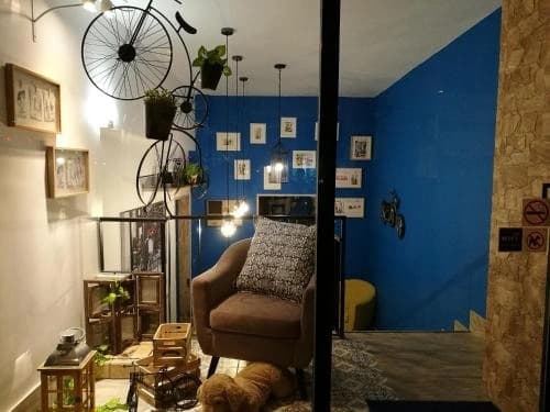 Plbh Bicycle Hostel 28 - photo 4