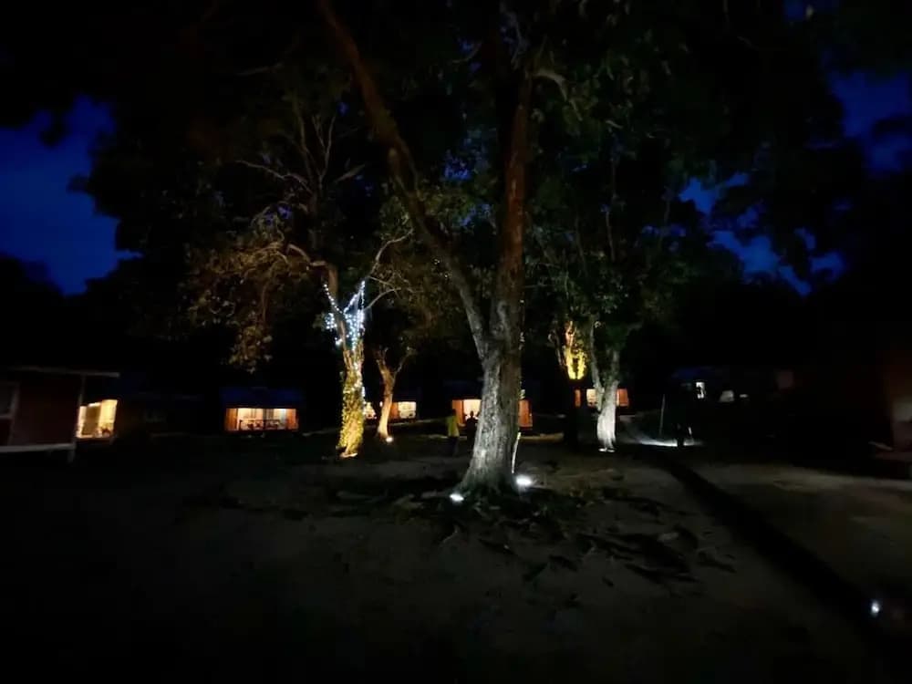 The Garden Tioman - photo 36