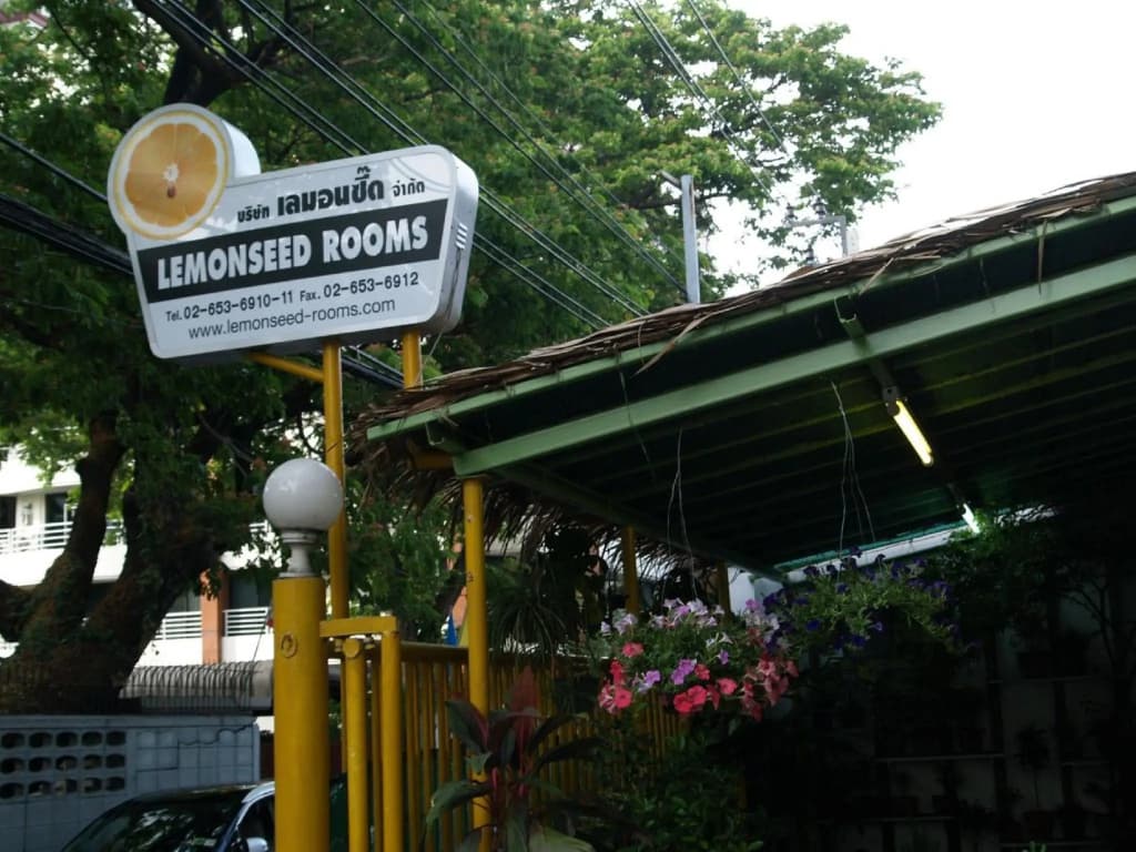 Lemonseed Rooms - photo 9