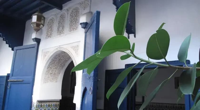 Riad Acv - photo 9