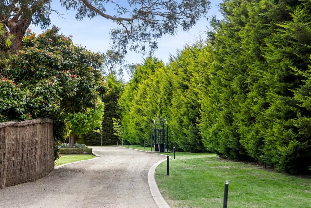 Tranquil Estate With Pool Heated Spa Gardens - photo 16