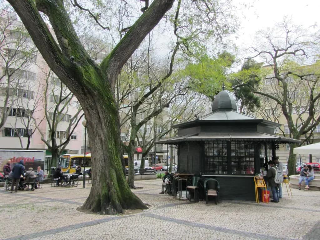 Constantino Garden - photo 13