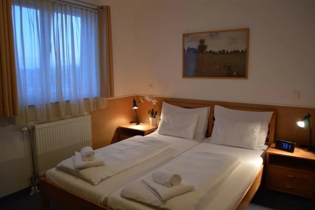Hotel Donaustadt Kagran - photo 3
