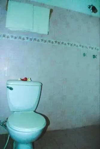 Hotel Satrya Ayu(Satrya Ayu Hotel) - photo 20