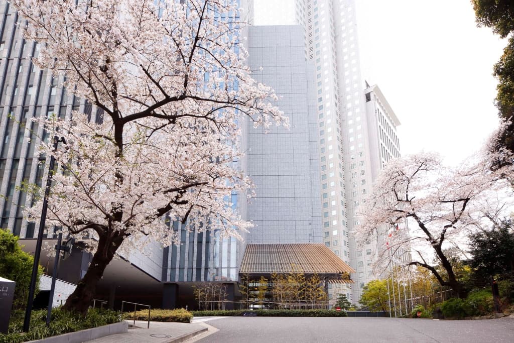 The Capitol Hotel Tokyu - photo 1