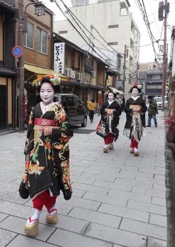 Kyomaru - photo 16