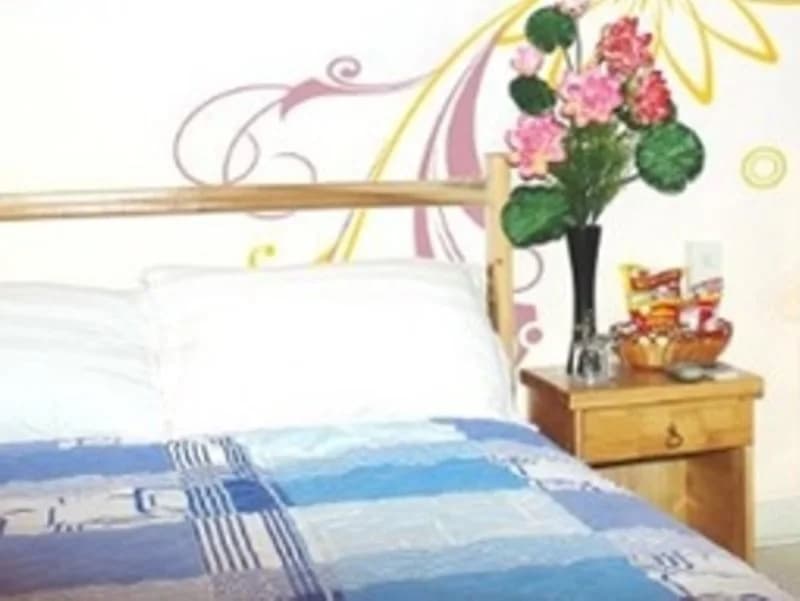 Hoa Sen Guest House - photo 11