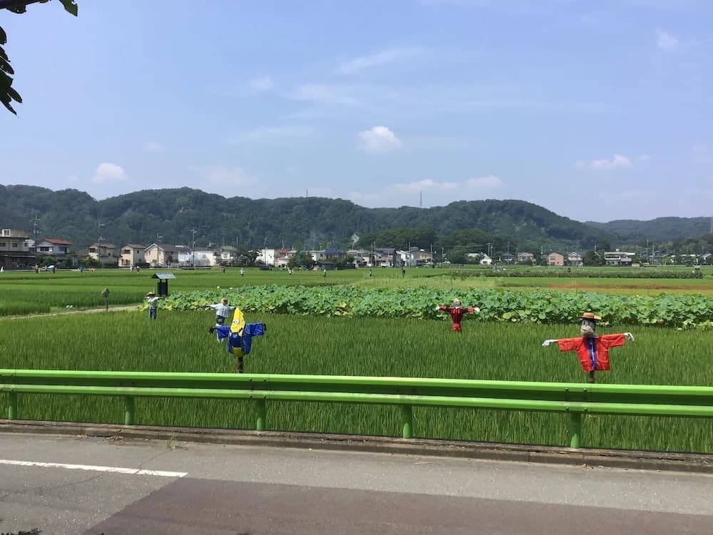 Tamagawa-en - photo 8