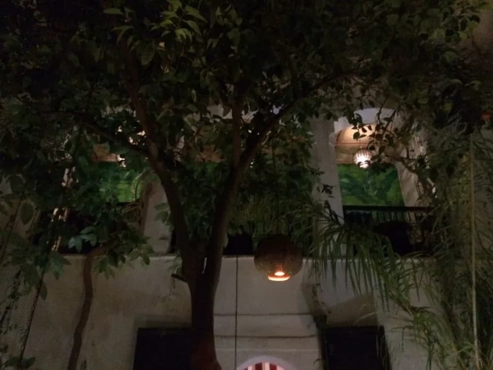 Riad Tibibt - photo 1