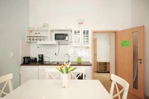 Condo in Vinohrady - photo 14