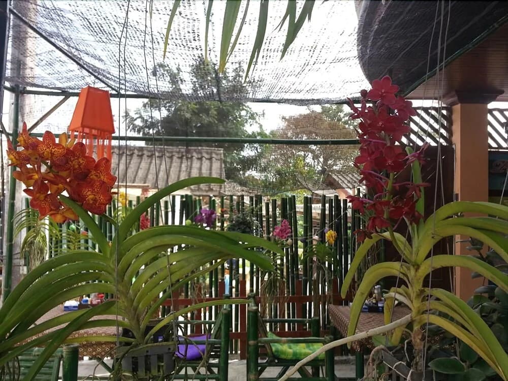 Pada Hotel - photo 16