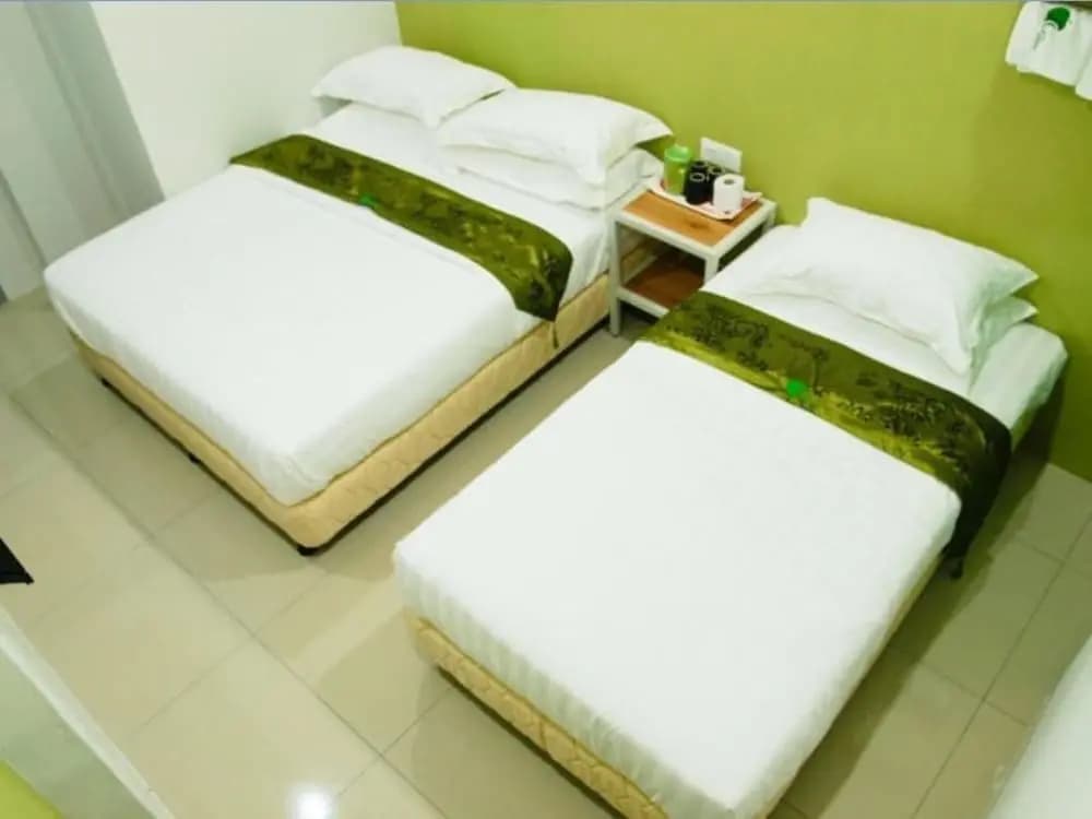 Green Hotel - photo 3