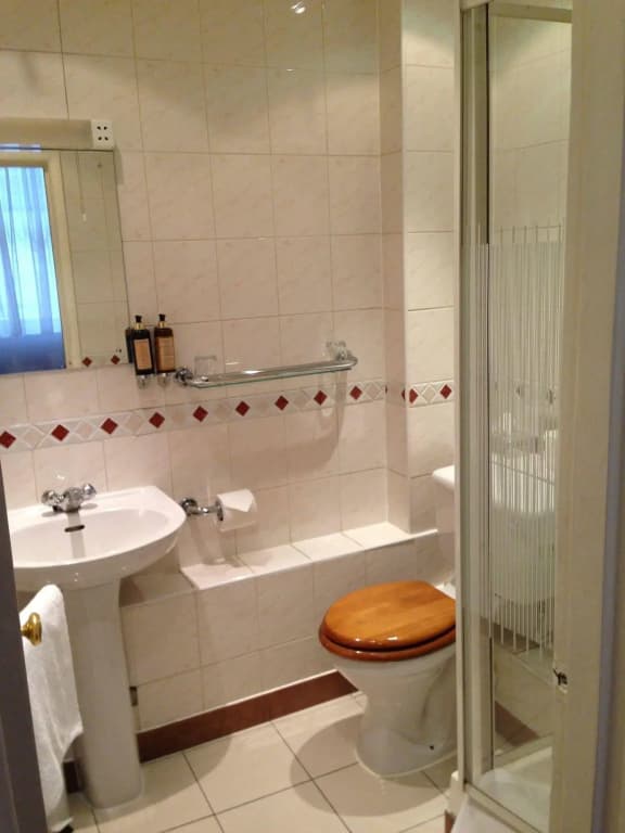 St George Hotel - photo 8