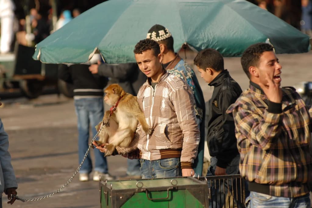 Riad Al Jana - photo 29