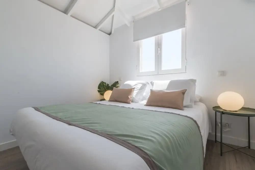 Plaza Mayor Attic - photo 5