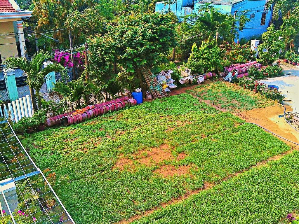 MS Tri House Homestay - photo 23