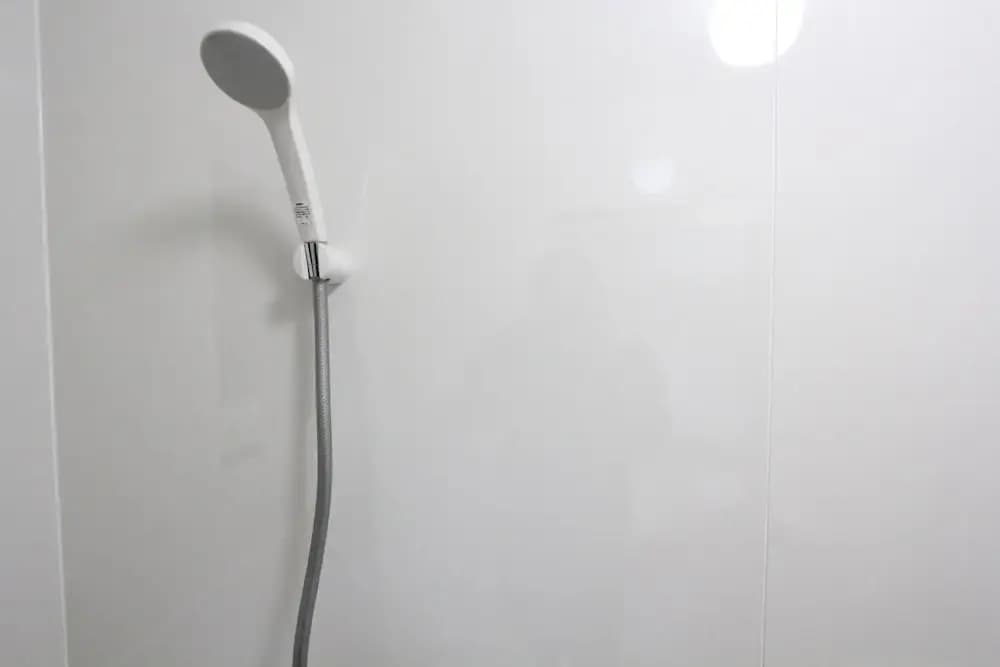 LUANA Shinnakano - photo 11