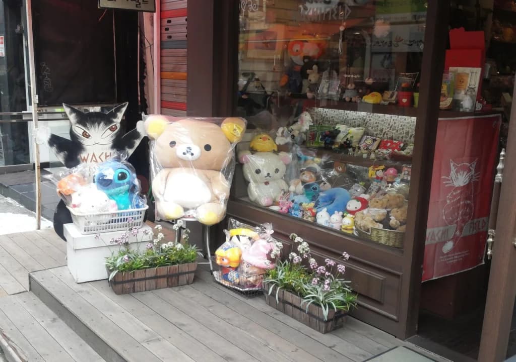OPPA Hostel Sinchon-Hongdae - photo 22