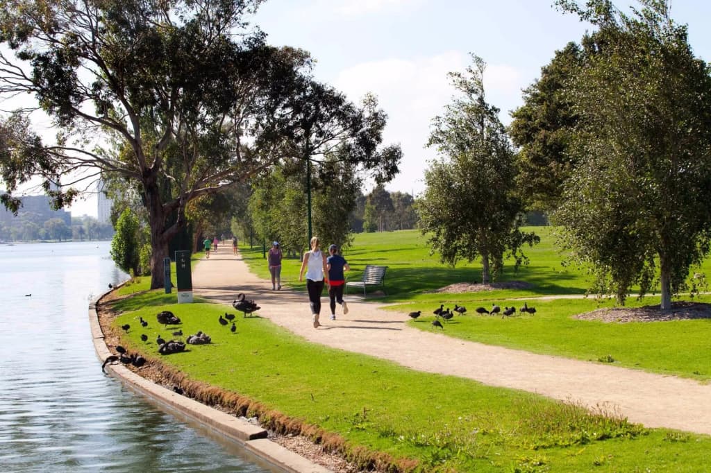 Tyrian Serviced Apartments - Albert Park Lake - photo 22