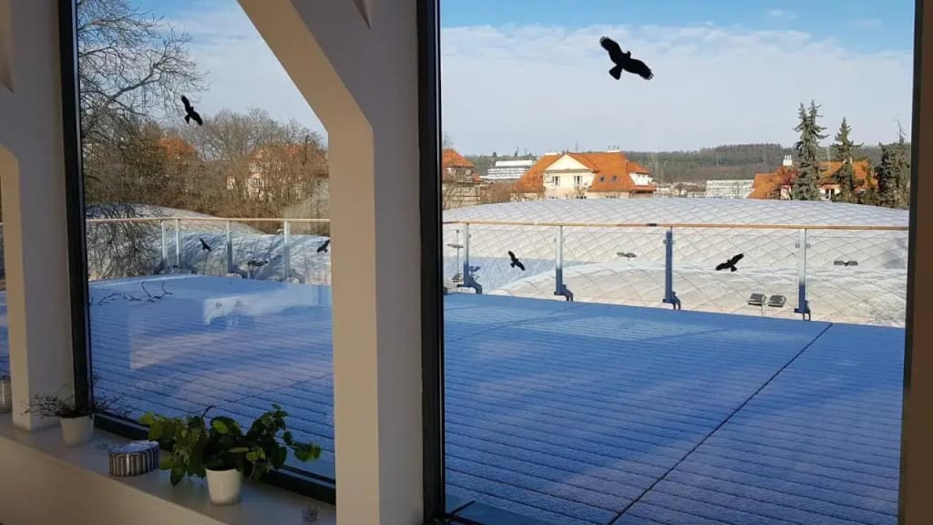 Sport Pension Cibulka - photo 27