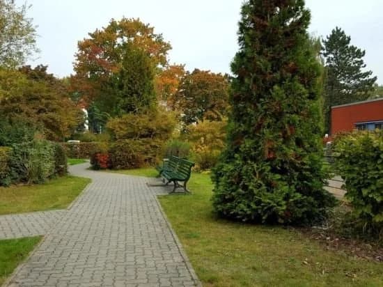 Gstehaus Pauline - photo 20