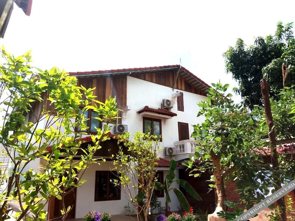 Angkor Dino B&B - photo 12