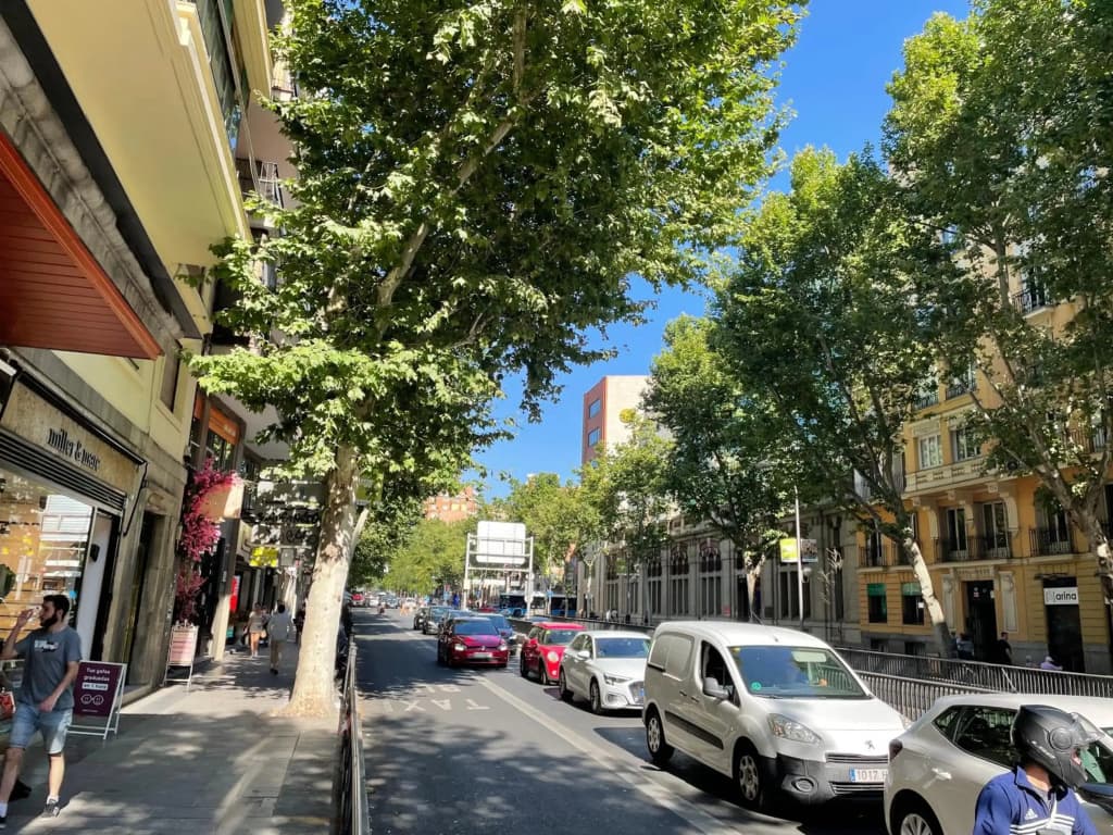 8-Estudio, Zona Chamberí, San Bernardo - photo 18
