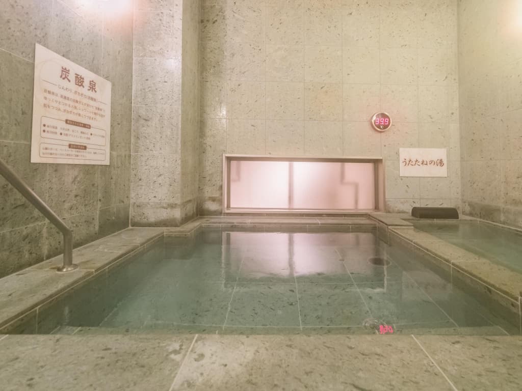 Super Hotel Tokyo JR Tachikawa-Kitaguchi - photo 20