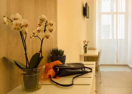 Salus Inn - photo 10