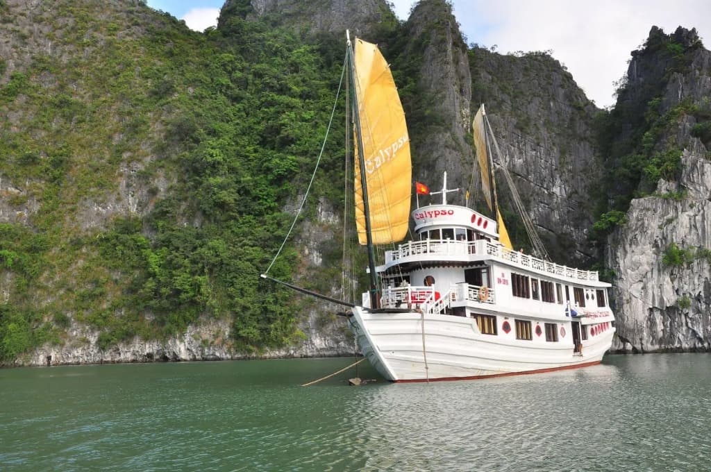 Calypso Cruise - photo 15